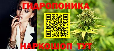 apvp Краснознаменск