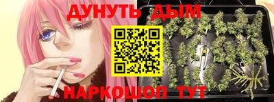 эйфоретик Краснодар